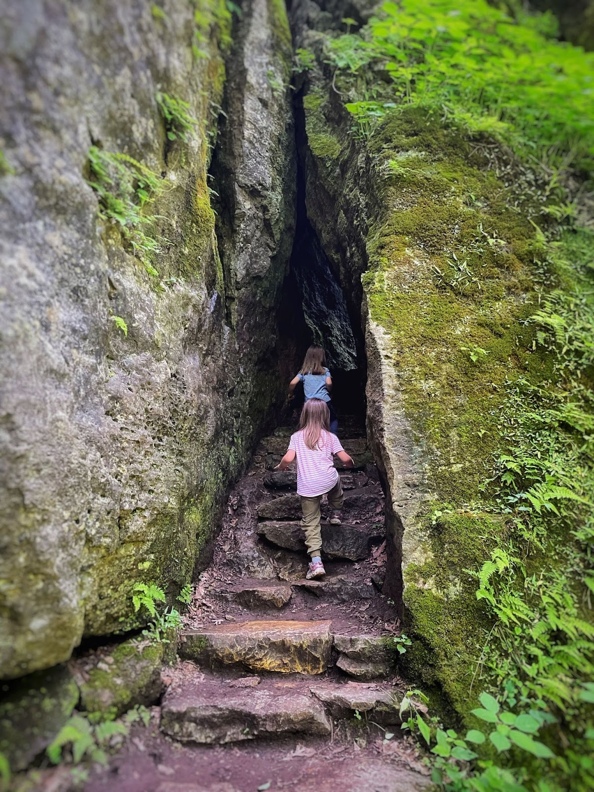 Turkey Run State Park, Indiana 