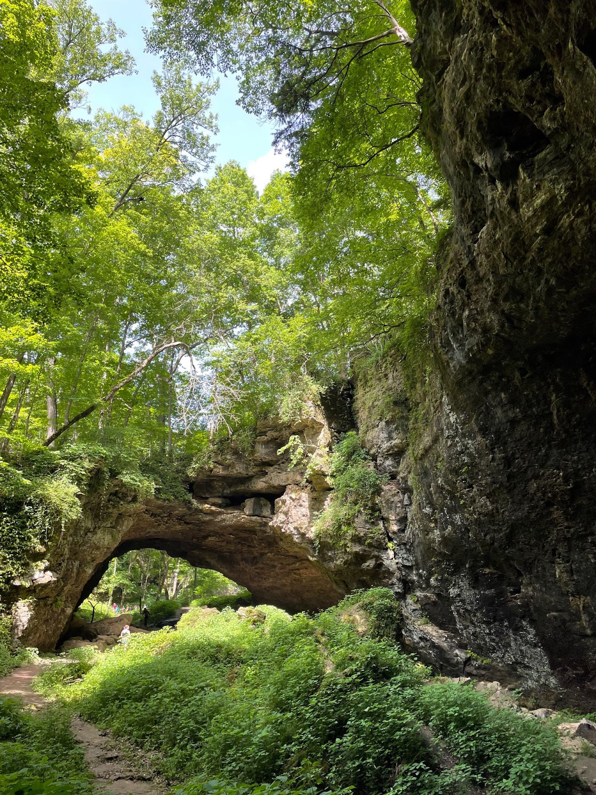 Maquoketa Caves State Park, Iowa 