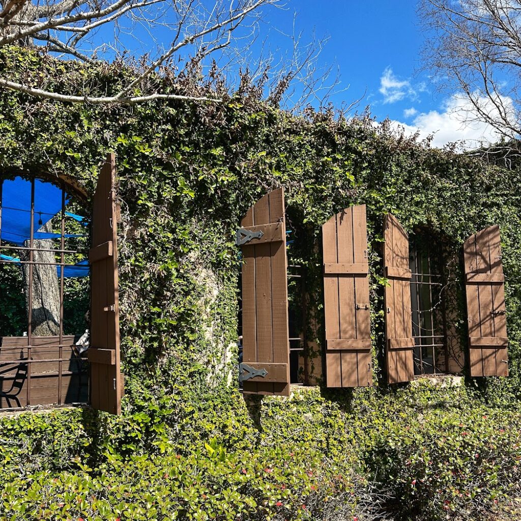 A picture of the outside of the Depot Kitchen and Market in Hattiesburg, Mississippi. A wall covered in ivy with windows and shudders. 