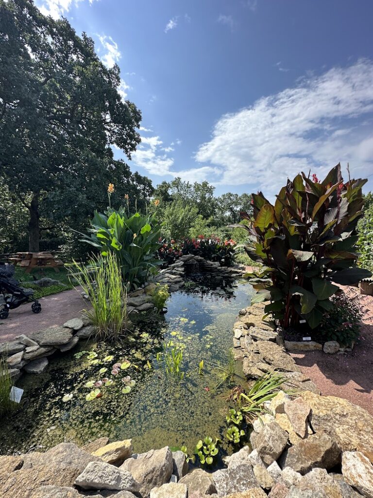 small pond at Kansas City Community Gardens