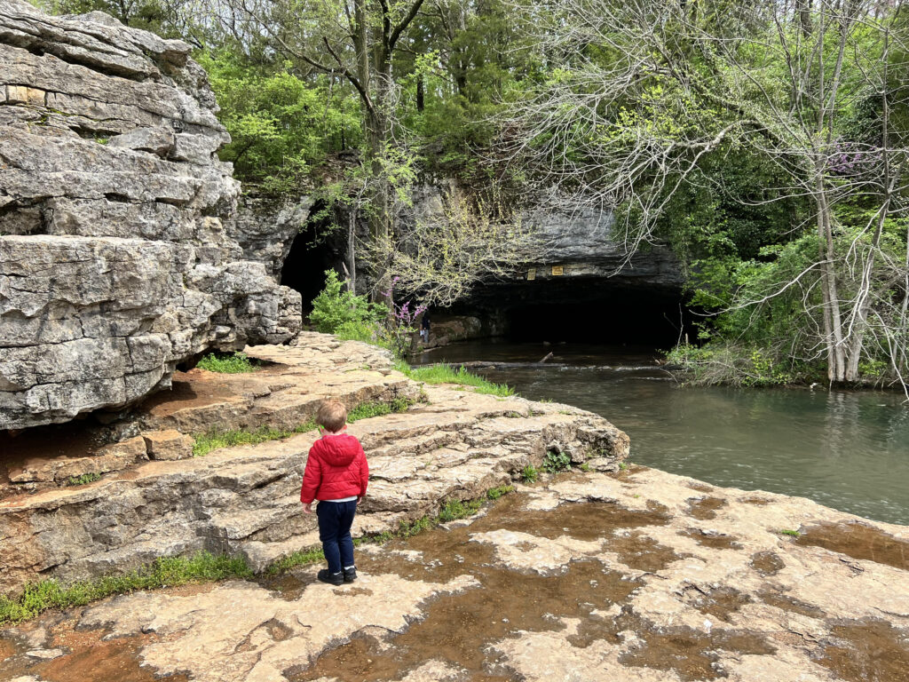 Sequiota Park in Springfield, Missouri by Sarah Reed