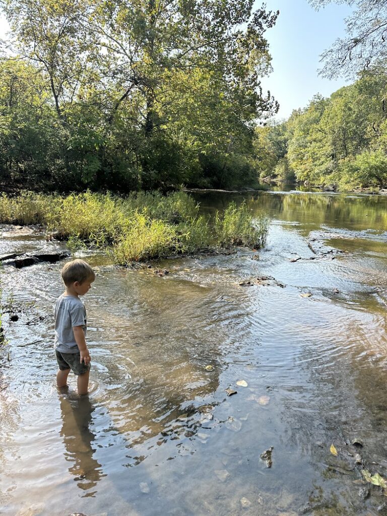 a boy wading in a creek 