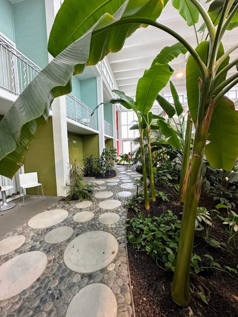 A stone path and beautiful jungle-like courtyard at Oasis Hotel & Convention Center in Springfield, MO