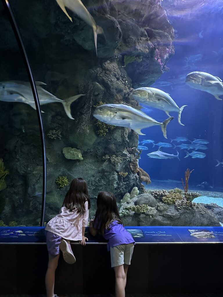 Two girls looking at big fish at Omaha's Henry Doorly Zoo and Aquarium. Road Trips From Kansas City