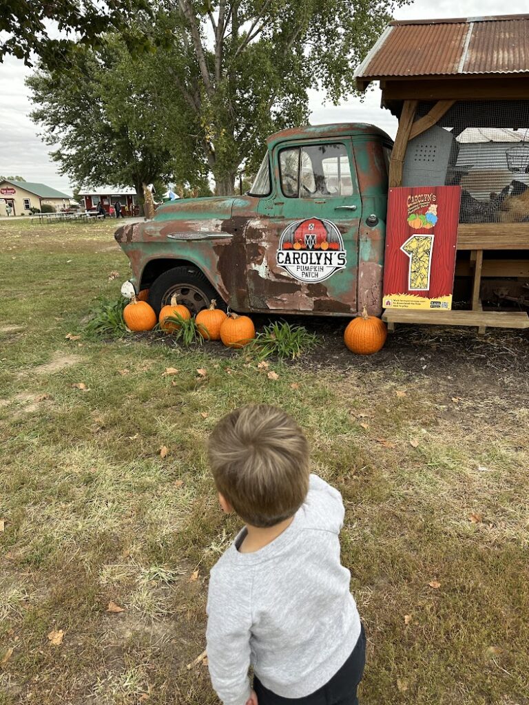 A boy at a KC Pumpkin Patch called Carolyn's Country Cousins 