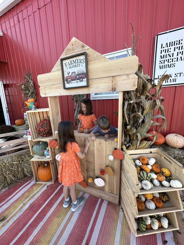 The Ultimate KC Pumpkin Patch Guide for Family Fun