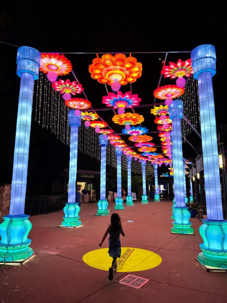 a girl walking through GloWild at the Kansas City Zoo 