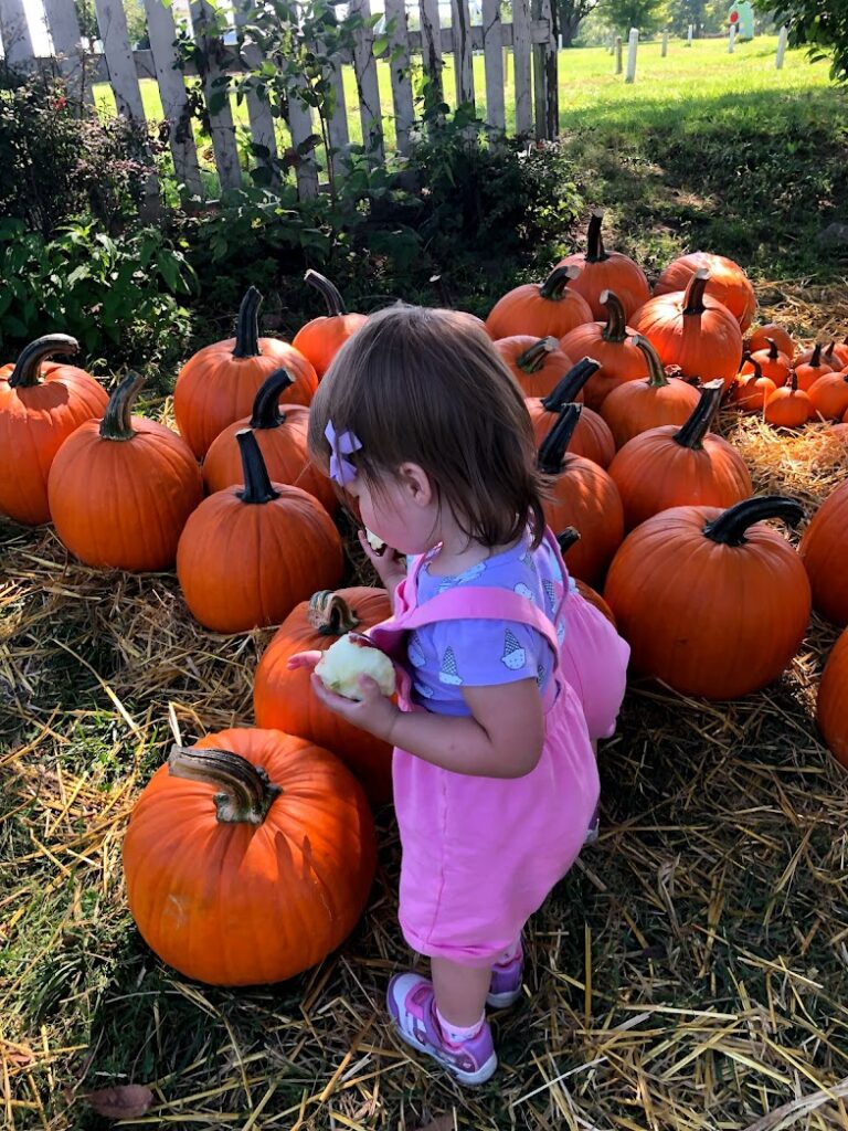 a little girl looking at pumpkins and eating an apple