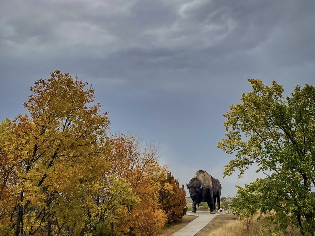 the worlds largest buffalo monument  surrounded by fall foliage in Jamestown, North Dakota, Midwest in the fall, taken by Antonia Grant 