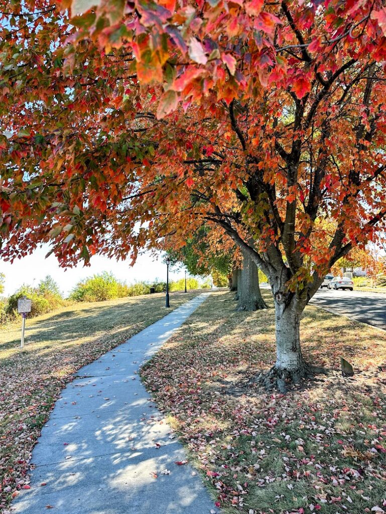 beautiful trees along the river in Leavenworth in peak fall colors, Kansas, Midwest fall trips 