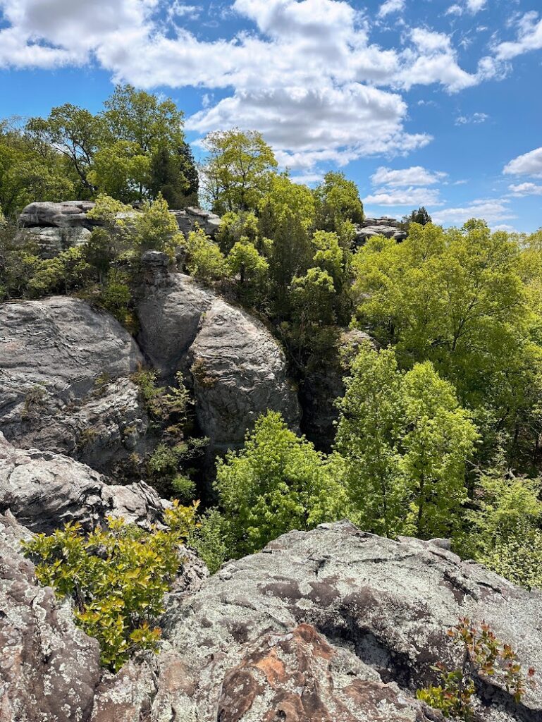 A view of Garden of the Gods in Shawnee National Forest, Southern Illinois