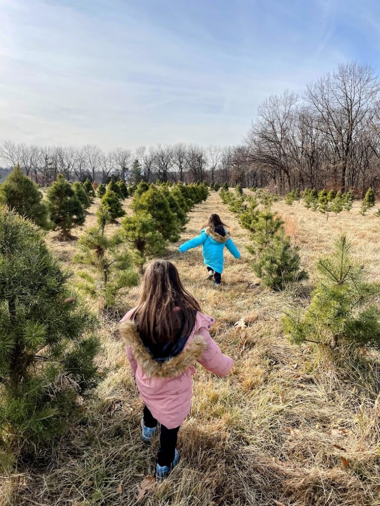 Two girls running through a Christmas tree farm near Kansas City 