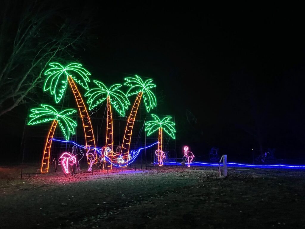 A light display of palm trees at Christmas in the Park at Longview Lake