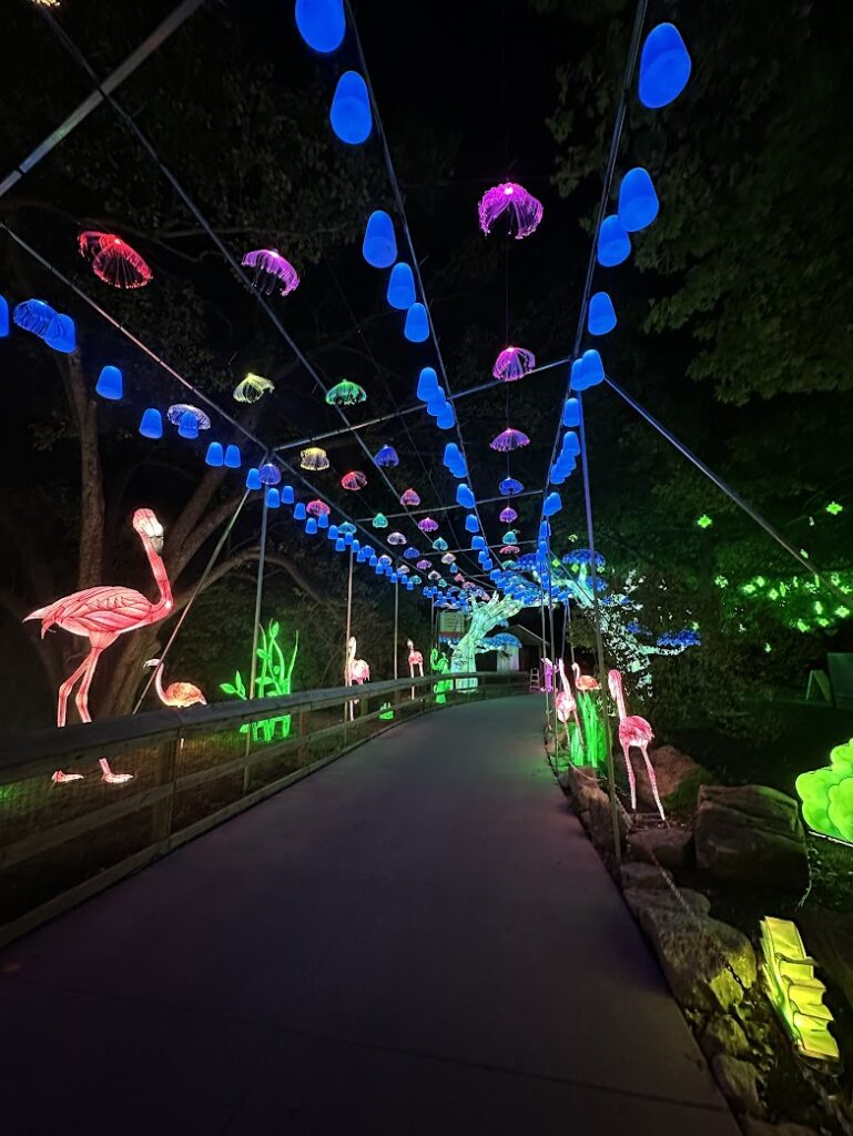 A walkway at GloWild at the Kansas City Zoo and Aquarium 