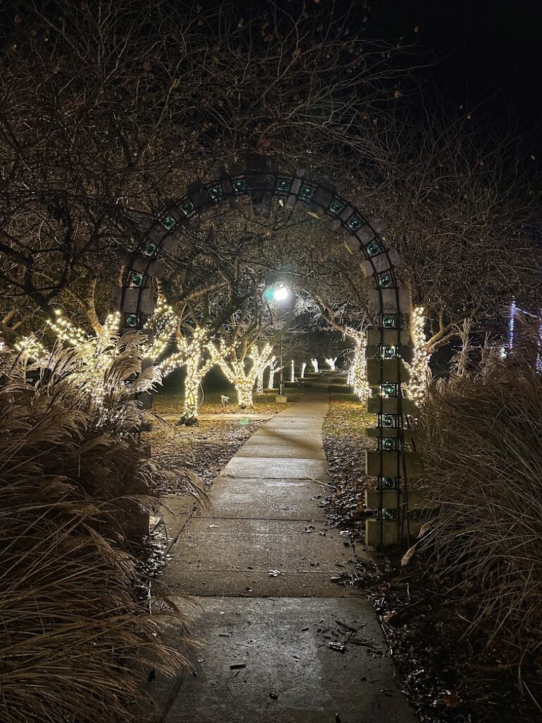 A path in South Park in Lawrence with lit trees on either side of the path